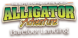 Alligator Adventure - Reptile Capital of the World!
