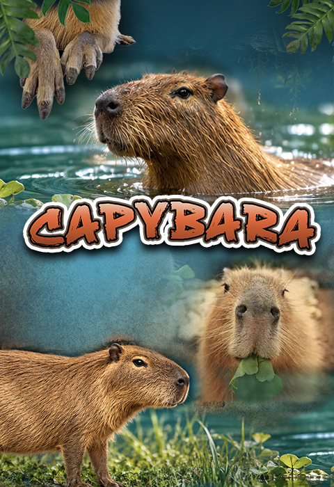 Capybara